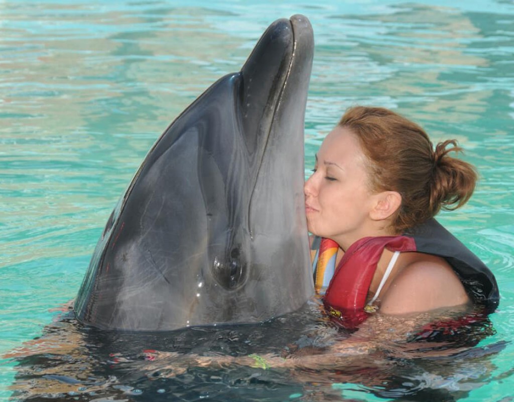 SWIMMING WITH DOLPHIN